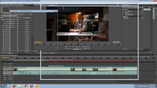 PluralEyes for Vegas Pro 64bit Usability Review [upl. by Eugilegna900]