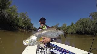 120cm barramundi caught in epic country on the Daly River [upl. by Yztim812]