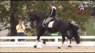 Edward Gal Totilas warm up WEG Kentucky 2010  one tempis  Part 1 [upl. by Nosyaj]