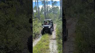 That Was Easy View 2  Honda Pioneer 520 Silver Lake OHV Tallahassee FL redclayriders atv shorts [upl. by Randall]