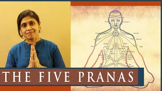 The Five Pranas that fuels functional systems of body  Prana  Apana  Samana  Vyana  Udana [upl. by Ahaelam]