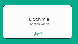 Tutorat biochimie  Fonction rénale  Partie 1 [upl. by Zetnom583]