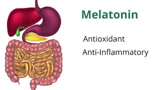 Understanding Melatonin with Dr Carrie Jones [upl. by Katlin980]