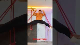 🧘 Iyengar 🧘 yoga 🧘 practice 🧘shortvideo strength [upl. by Eetak]