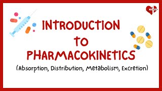 What is Pharmacokinetics  The ADME Process  Introduction to Pharmacokinetics [upl. by Nalrah428]