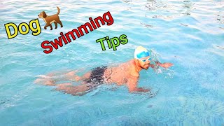 How to Learn dog Paddle🏊‍♂️  FREESTYLE DOGGY PADDLE  How to Learn Dog Style Swimming For Beginners [upl. by Zoa]