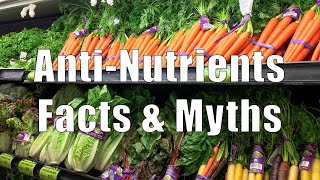 Antinutrients Facts amp Myths 700 Calorie Meals DiTuro Productions [upl. by Eimmot]