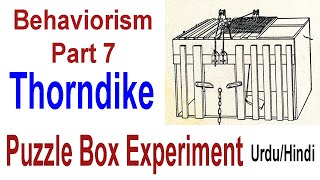 Thorndike Puzzle Box Experiment  Trial and Error Experiment  Behaviorism Part 7  UrduHindi [upl. by Anewor]