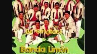 Original Banda El Limon De Salvador Lizarraga Copa Vacia wmv [upl. by Ahsinned]