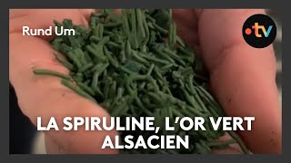 De la production de spiruline en Alsace [upl. by Anitel]