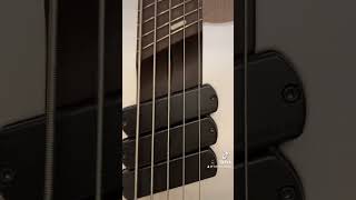 Dingwall bass 5 string [upl. by Alard16]