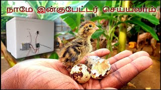 இன்குபேட்டர் செய்வது எப்படி Home made incubator in tamil [upl. by Aizat824]