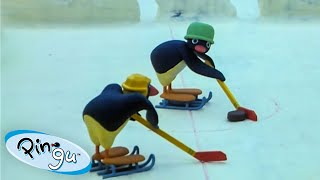 Pingus Favorite Sports 🐧  Pingu  Official Channel  Cartoons For Kids [upl. by Liane]