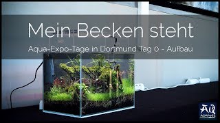 Mein Aquarium ist heile angekommen  AquaOwner VLOG [upl. by Orelie]