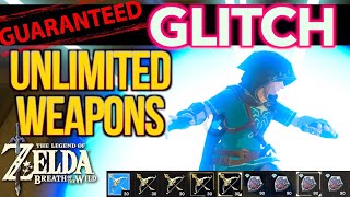 EASY Botw Glitch  Unlimited Hylian Shields Twilight Bows amp ALL Items in Zelda Breath of the Wild [upl. by Anitsirhcairam]