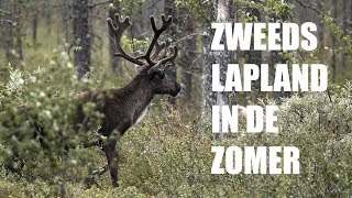 Reisvideo Hoogtepunten Zweeds Lapland zomer [upl. by Akirej]