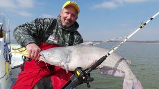 Team Catfish catching BIG BLUE CATFISH on Lake Texoma [upl. by Haizek]