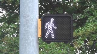 ICC Pedestrian Signal [upl. by Clere]