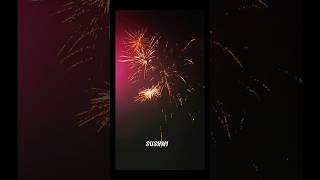 Diwali song by Vishal Mishra youtubeshortsfirecrackeratoshbajihappydiwalistatus [upl. by Assenahs445]