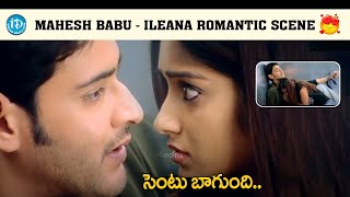 POKIRI 2006  Pokiri Movie Scenes  Mahesh Babu Ileana Brahmanandam  Puri Jagannadh  Mani Sharma [upl. by Eybba534]