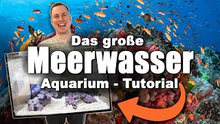 Das Meerwasseraquarium TUTORIAL  Keine Ahnung Kein Problem LOWBUDGET  Nachhaltig [upl. by Issor937]