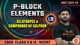 PBlock Elements  Allotropes amp Compounds of Sulphur  Class 11 amp 12 Chemistry  NEET 24  25 [upl. by Legra]