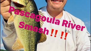 Pascagoula River Fishing BMF [upl. by Roz50]