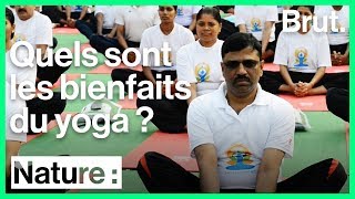 Des chercheurs ont évalué les bienfaits du yoga [upl. by Aniled841]