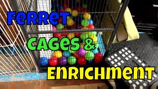 Ferret Cage amp Enrichment  Ferret Care VOL 1 [upl. by Yelsehc86]