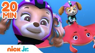 PAW Patrol Aqua Pups amp Mermaid Rescues w Skye amp Coral  20 Minute Compilation  Nick Jr [upl. by Epuladaugairam]