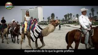 Rosarito Ocean Sports Camellos [upl. by Grannia]