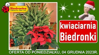 𝐁𝐈𝐄𝐃𝐑𝐎𝐍𝐊𝐀 🐞  Nowa Oferta od Poniedziałku 04122023  Kwiaciarnia Biedronki  Tanie Choinki [upl. by Shane]