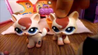 LPS Twins Episode 2 [upl. by Elleb717]