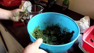 How to make fishing paste out of groundbait  Using Swimstim Green [upl. by Sorrows]