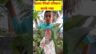 Comedy videos  sayan panda funny video  te te teteng ge  shorts [upl. by Mansur]