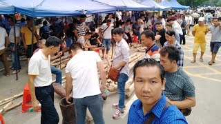 พาชมตลาดไม้ ฮวงหัวลี่ 2​ ตลาดมีจริงแพงจริงไม่มีลวงโลก0801204709​คุณ​โต้ง [upl. by Aillij889]