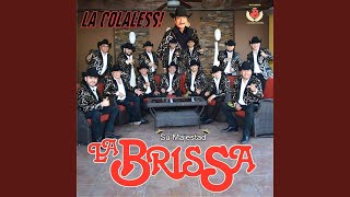 La Colaless [upl. by Australia]