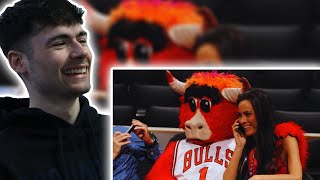 BRITS React to NBA MASCOTS BEING MENACES [upl. by Rihana]