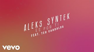 Aleks Syntek  Es por Ti Karaoke Version ft Teo Cardalda [upl. by Leoy]