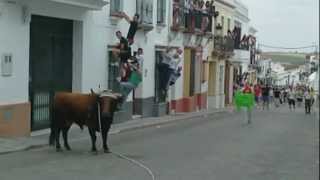 villalba del alcor toro de cuerda 2012 [upl. by Eecyak]