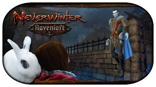 NEVERWINTER Ravenloft 🐇 09  Verschwunden in Ruinen amp Das Symbol der Raben [upl. by Lekram11]