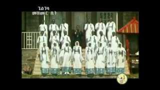 Zemari Fekadu Amare ዘማሪ ፈቃዱ አማረ Enamesegenehalen [upl. by Marji]