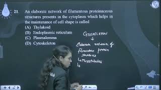 An elaborate network of filamentous proteinaceous structures presents in the cytoplasm which hel [upl. by Hendon]