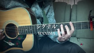 シグナル ／ WANIMAcover アコギ弾き語り 歌詞付きリテイク 一発撮りチャレンジ [upl. by Asserac]