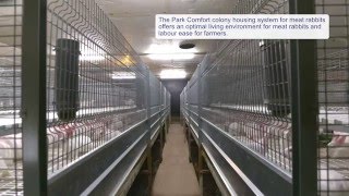 Park Comfort colony housing system for meat rabbits [upl. by Aramac469]