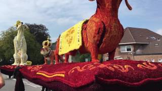 Bloemencorso Lichtenvoorde 2016 Lansink Bluiminck  Opgedoft [upl. by Olenka802]