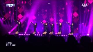 Live HD  141130 AOA quot사뿐사뿐 Like A Catquot  SBS 인기가요 [upl. by Anuahsed]