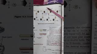 Hidden line NCERT  Molecular basis of inheritance Biology class 12 neet2025 biologyneet [upl. by Mcneil281]