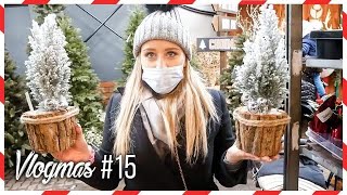 VLOGMAS 15  JESZCZE WIĘCEJ OZDÓB ŚWIĄTECZNYCH⭐️ Andziaks [upl. by Pratt]