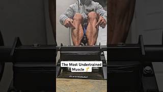 The Most Undertrained Muscle  Build Huge Calves [upl. by Bernstein520]